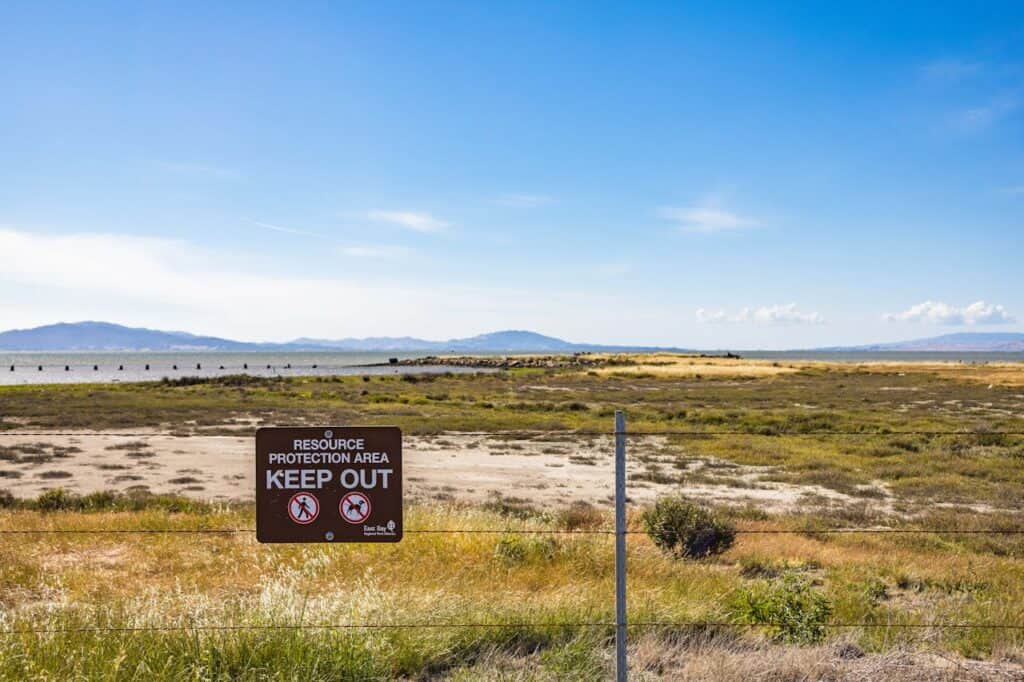 A clear “no dumping” sign near a natural area.