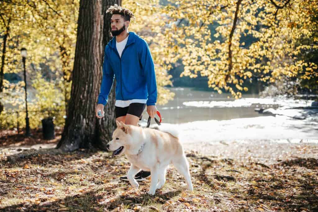 dog on leash in national park