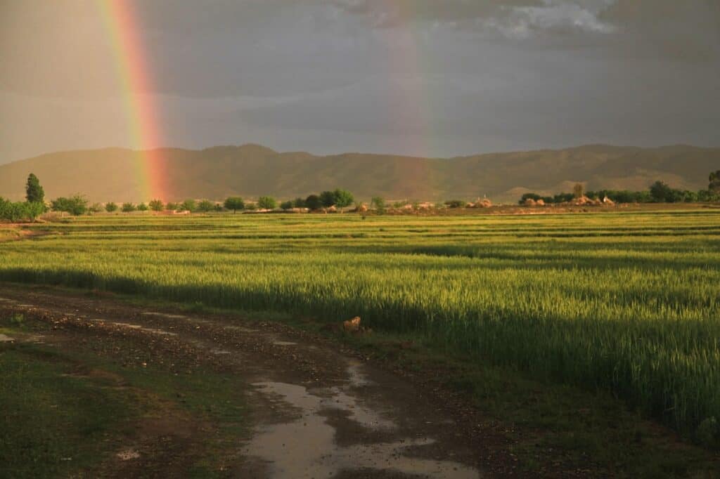 Rainbow, Field, Afghanistan image.