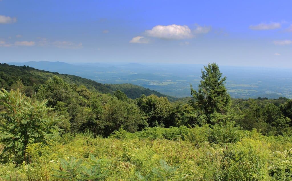 Shenandoah 