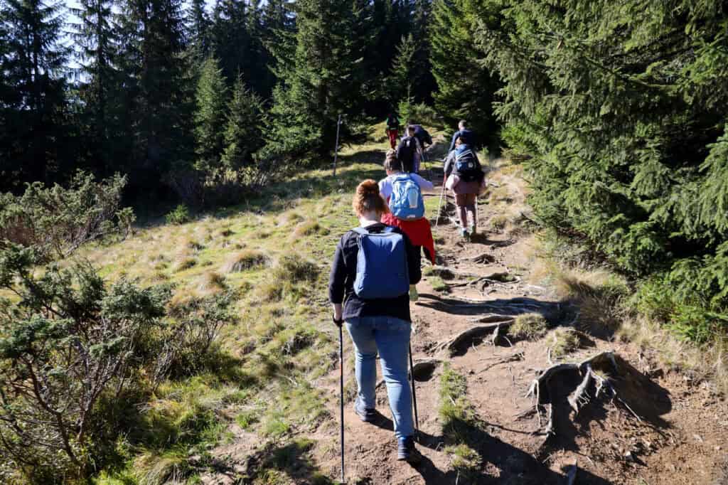 Beginner Hiking Tips