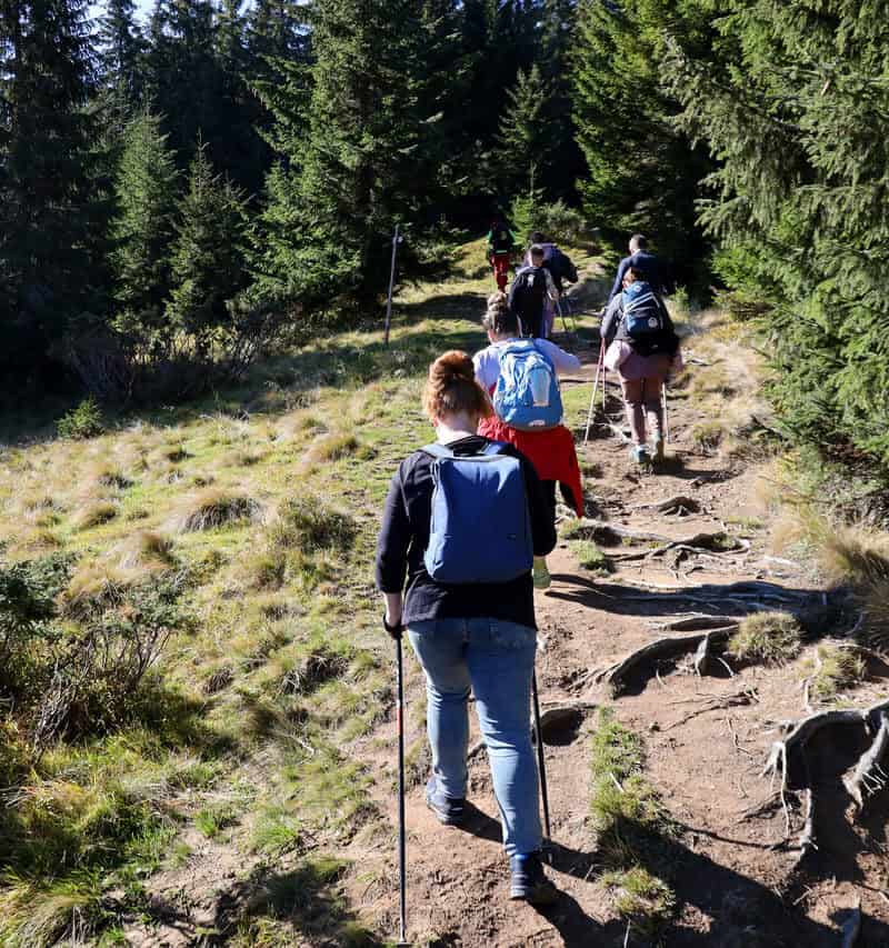 15 Beginner Hiking Tips That Make Trails Easier
