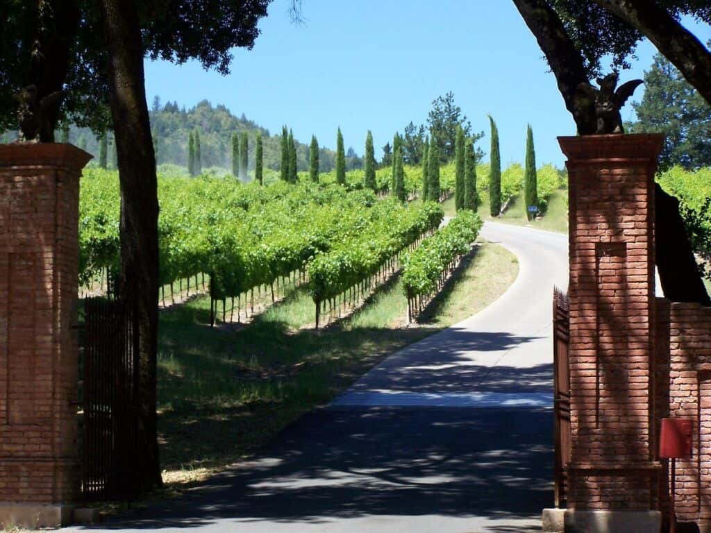 Winery, Napa valley, California image.