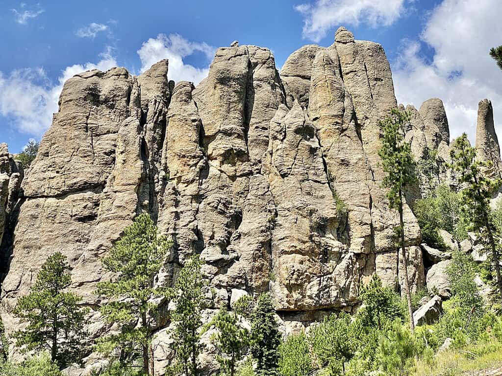 1024px-Cathedral_Spires_and_Limber_Pine_Natural_Area,_Needles_Highway,_Custer_State_Park,_Custer,_SD