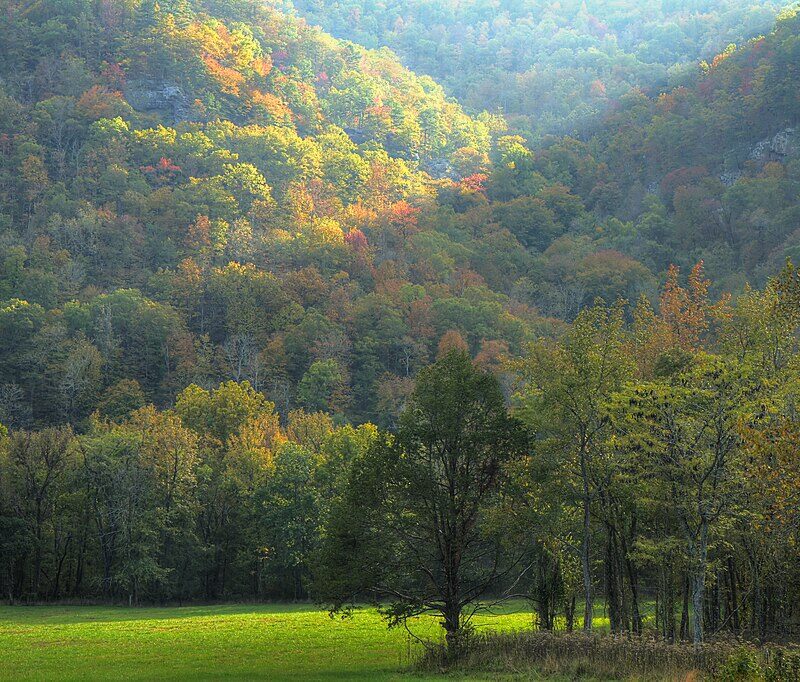 1024px-Fall_in_the_Ozarks