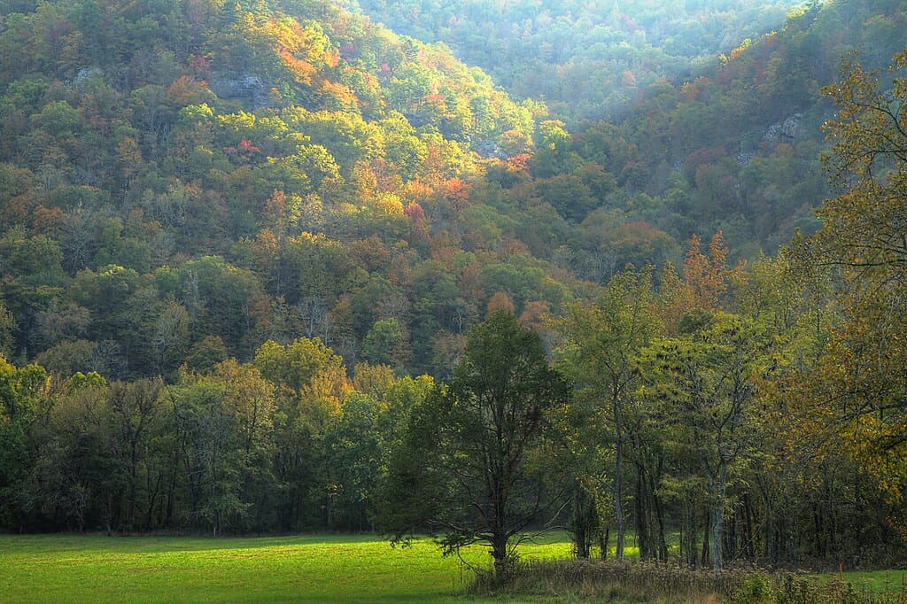 1024px-Fall_in_the_Ozarks