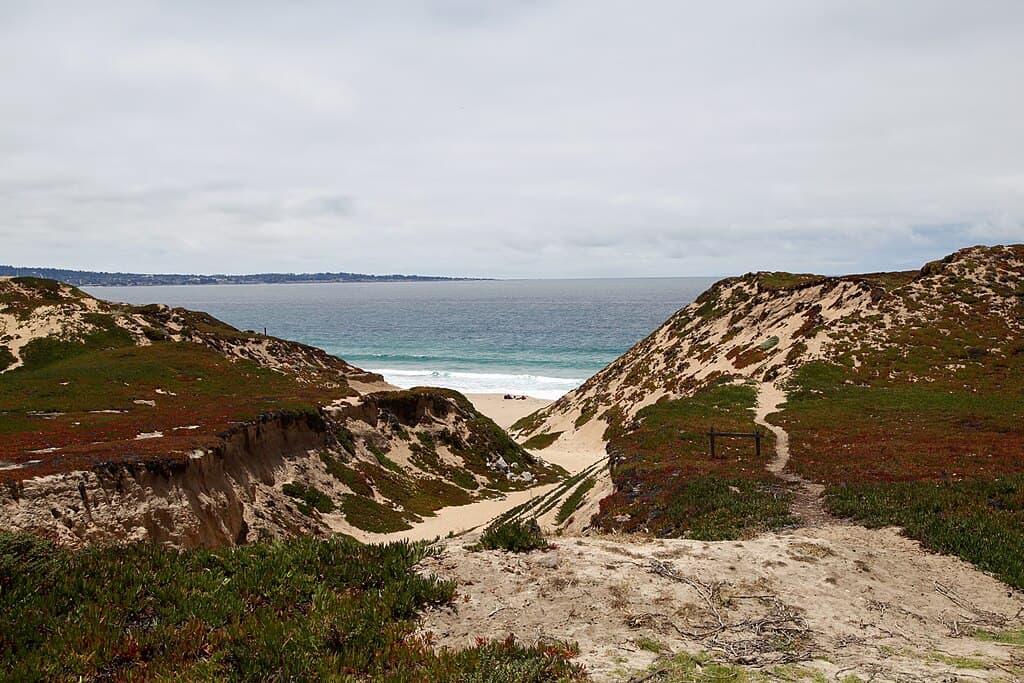 1024px-Fort_Ord_Dunes