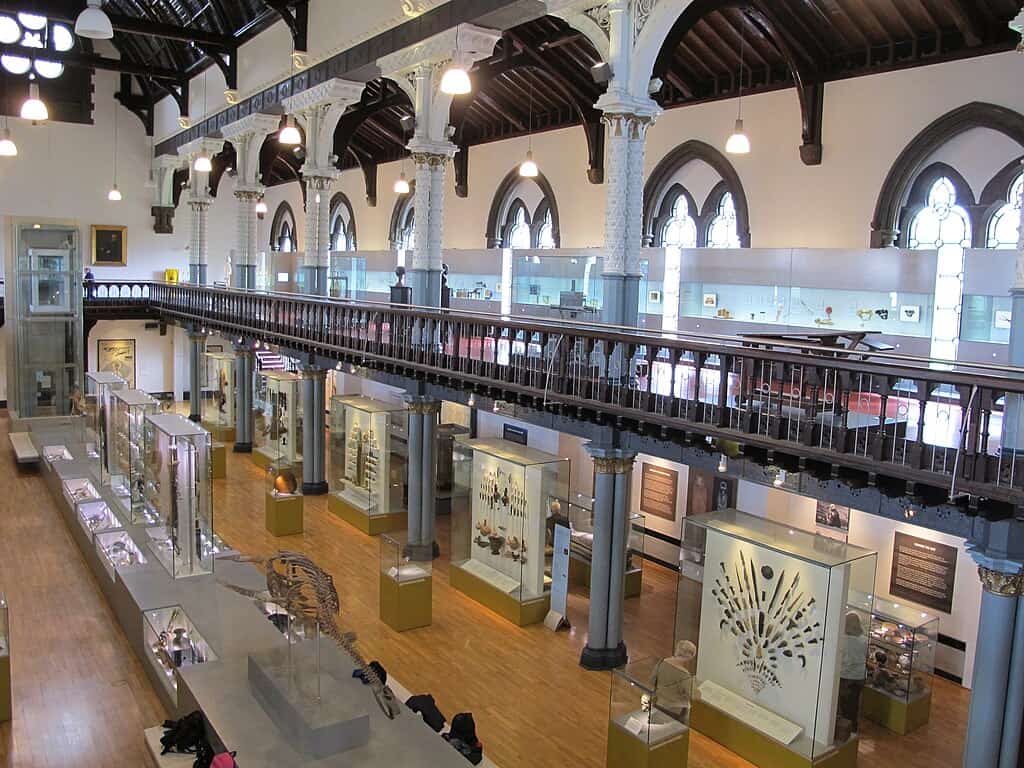 1024px-Hunterian_Museum,_University_of_Glasgow_-_geograph.org.uk_-_4963113
