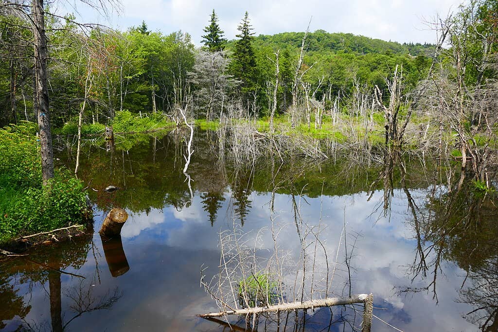 1024px-Mount_Greylock_P1010819