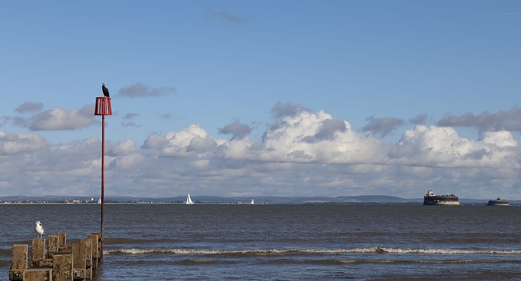 1024px-Outfall_near_Seaview_-_geograph.org.uk_-_7004895