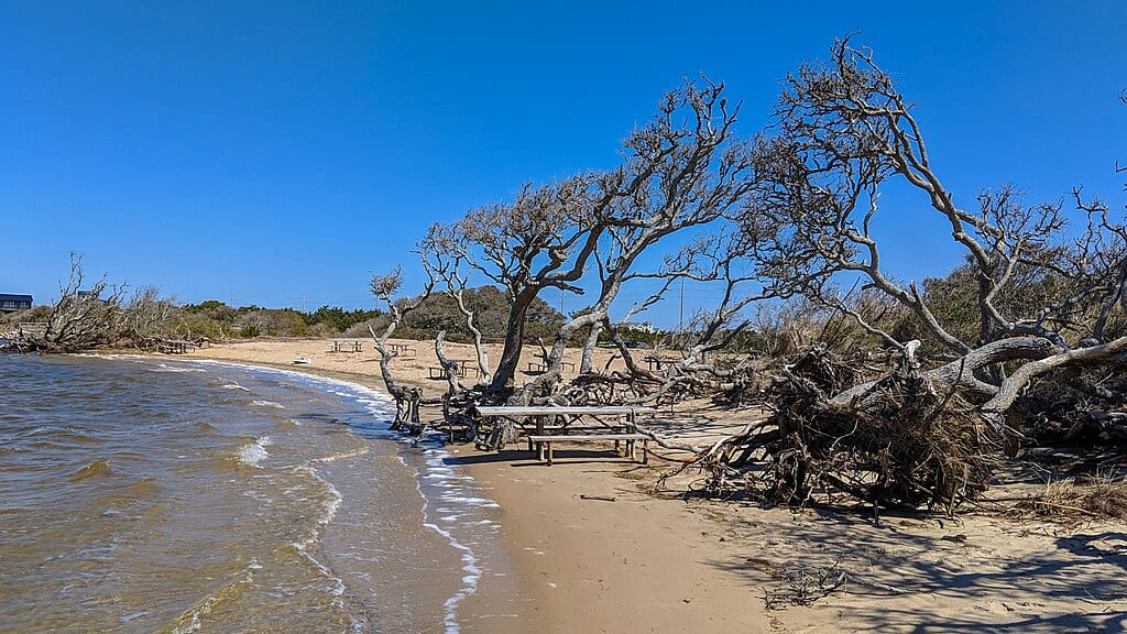 1024px-Salvo_Day_Use_Area