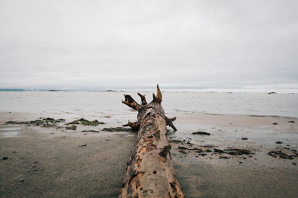 1024px-The_Beach_(8541065196)