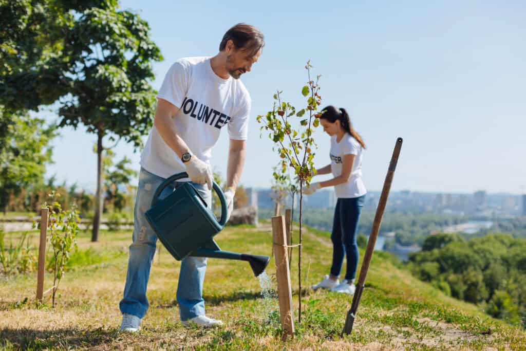 volunteers tree planting travel project