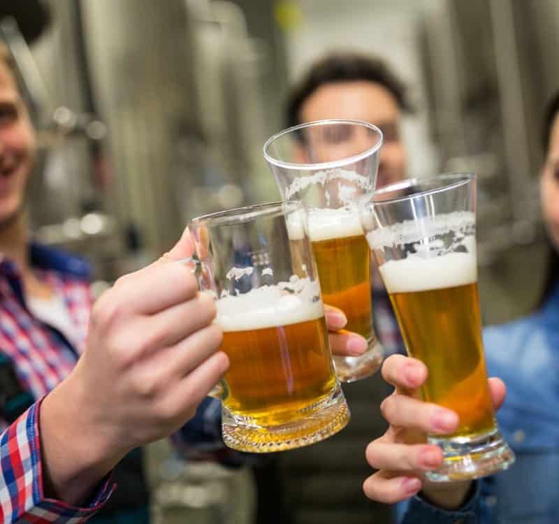 Brewers toasting beers at brewery factory