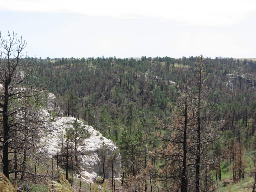 Pine Ridge region has forested hills.