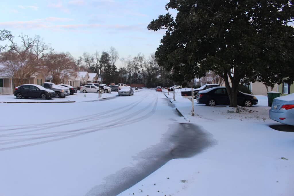 Gulf Coast mild winter day families walking”