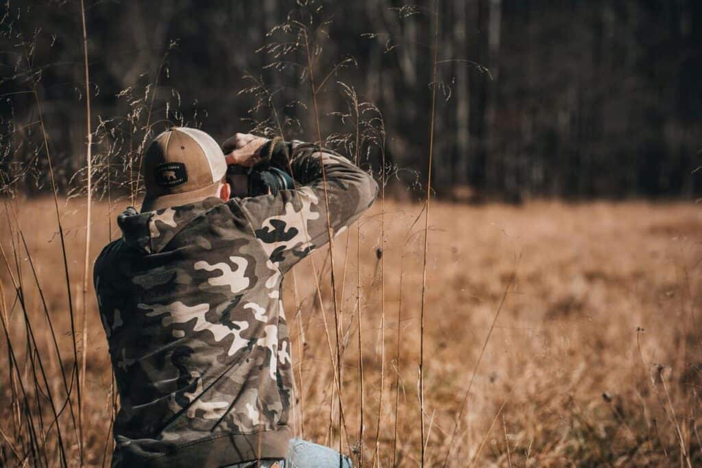 pexels-alteredsnaps-14298416-2