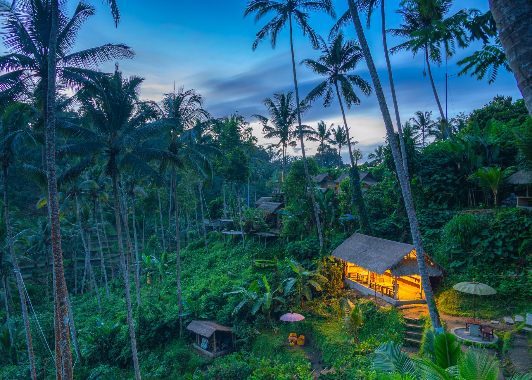 tropical hut amidst lush green bali forest