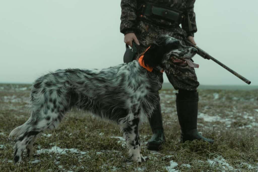 pexels-tima-miroshnichenko-6204541-2Tima Miroshnichenko