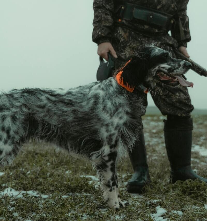 pexels-tima-miroshnichenko-6204541-2Tima Miroshnichenko