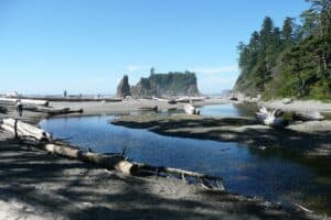 Washaway Beach, Washington