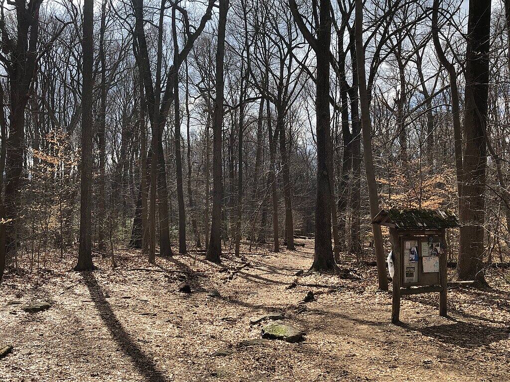 1024px-Carpenter's_Woods-Trail-Philadelphia