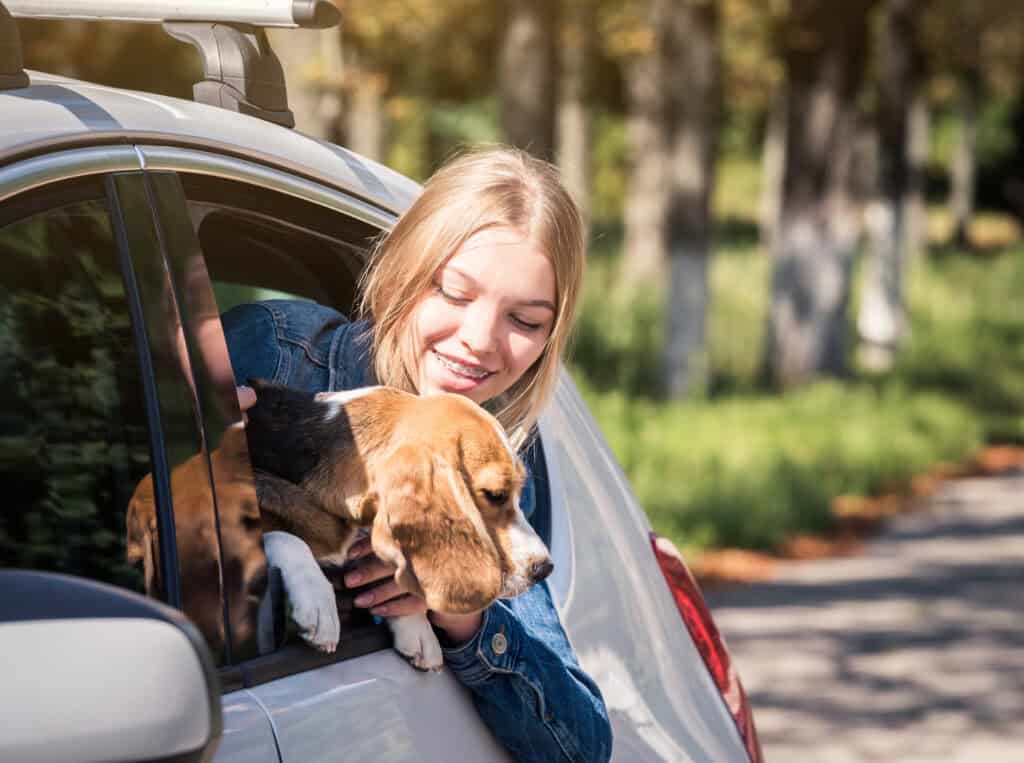interstate road trip with pet carrier