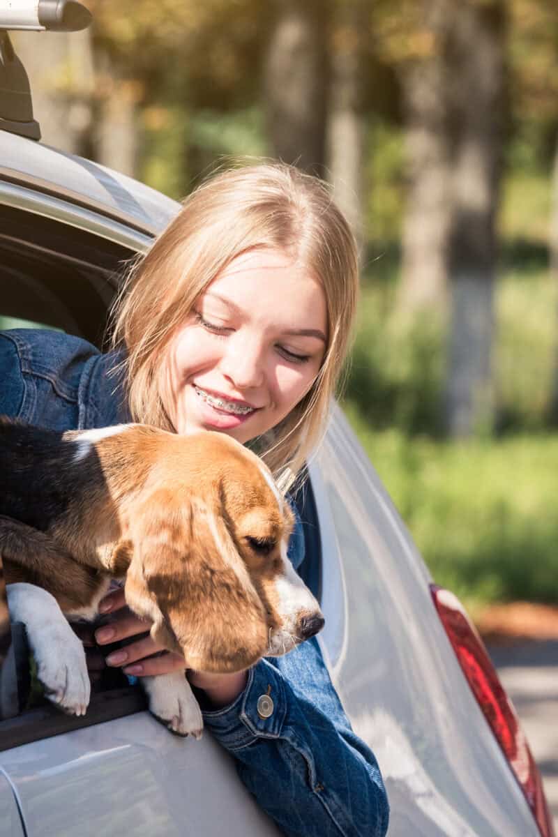 interstate road trip with pet carrier