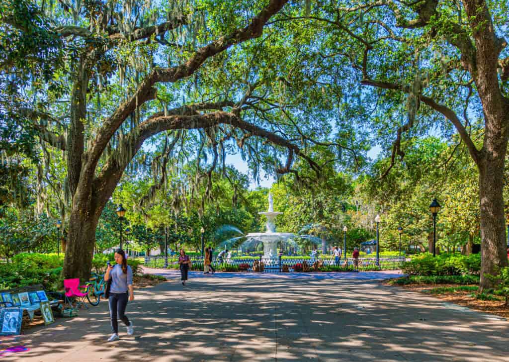savannah georgia street summer
