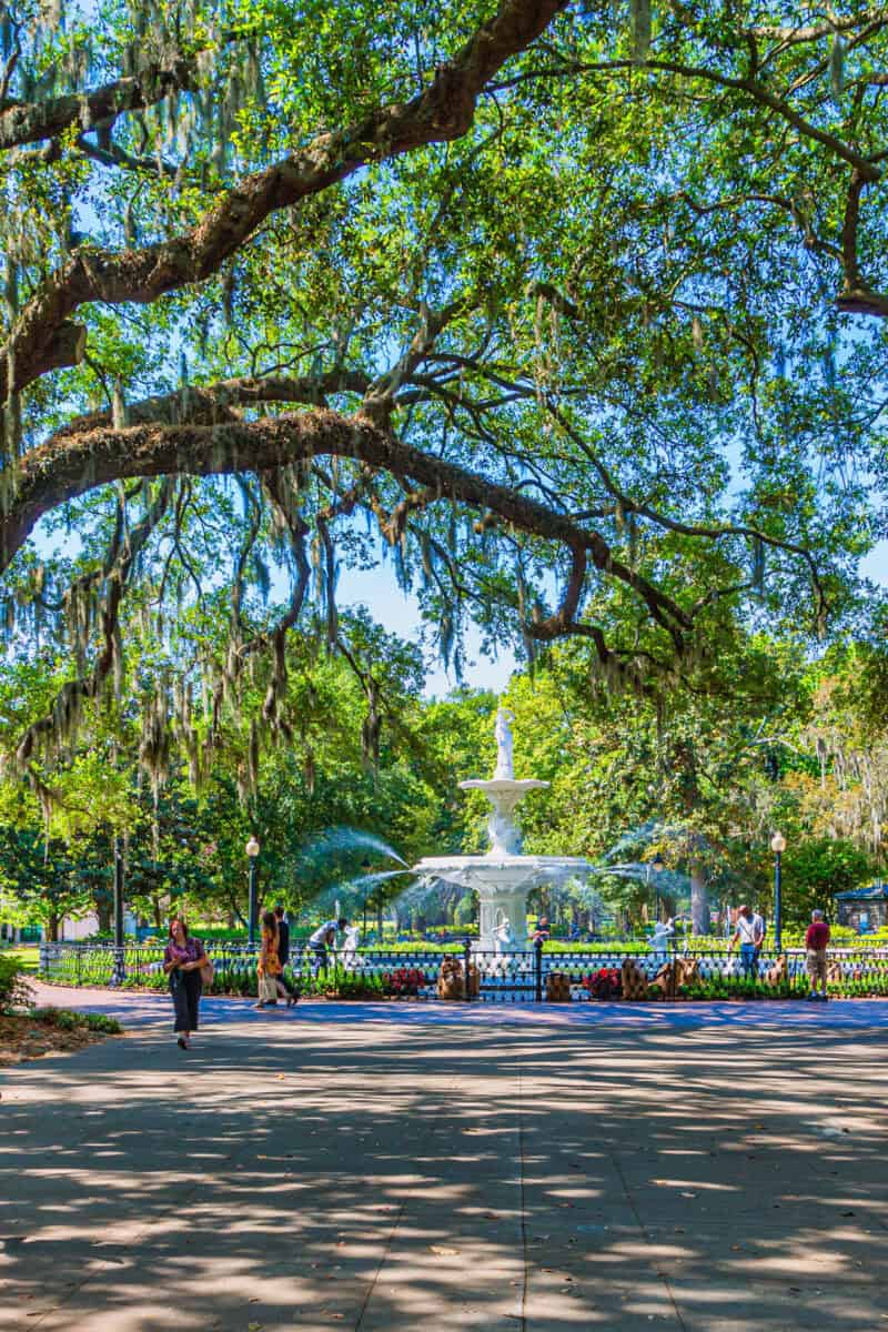 savannah georgia street summer