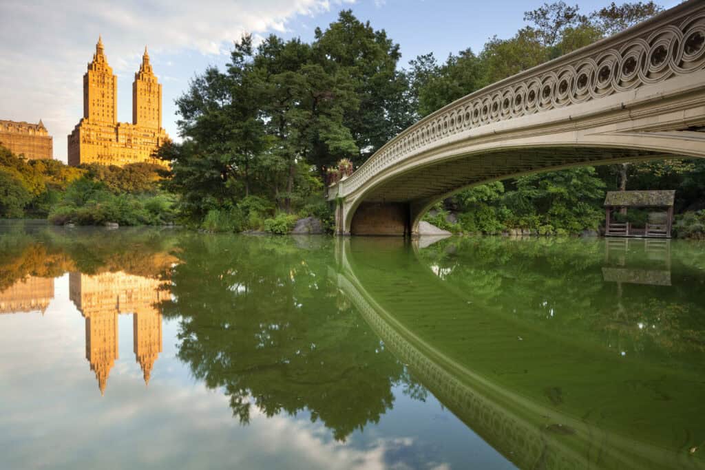 Central Park Iconic Spots, New York
