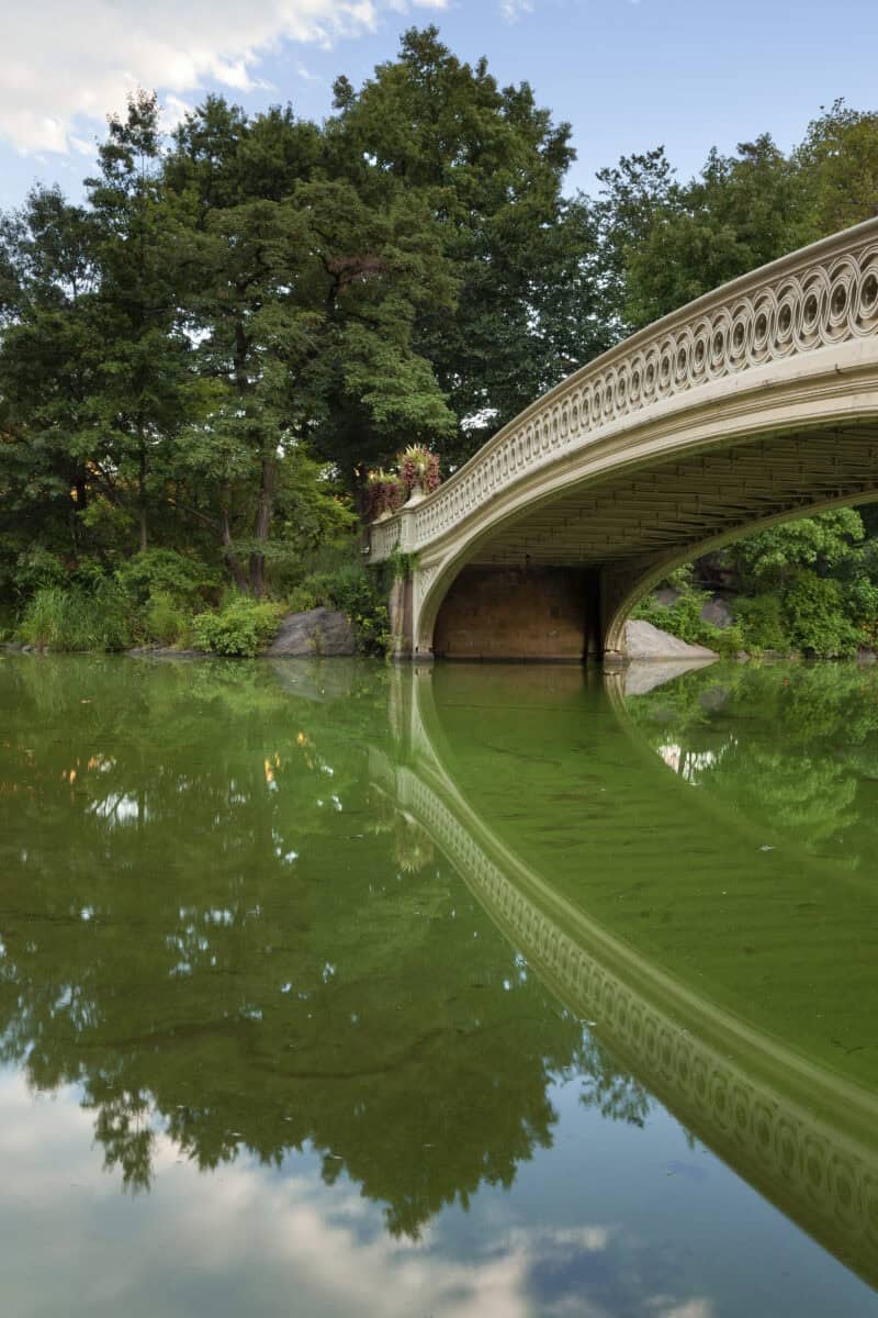 Central Park Iconic Spots, New York