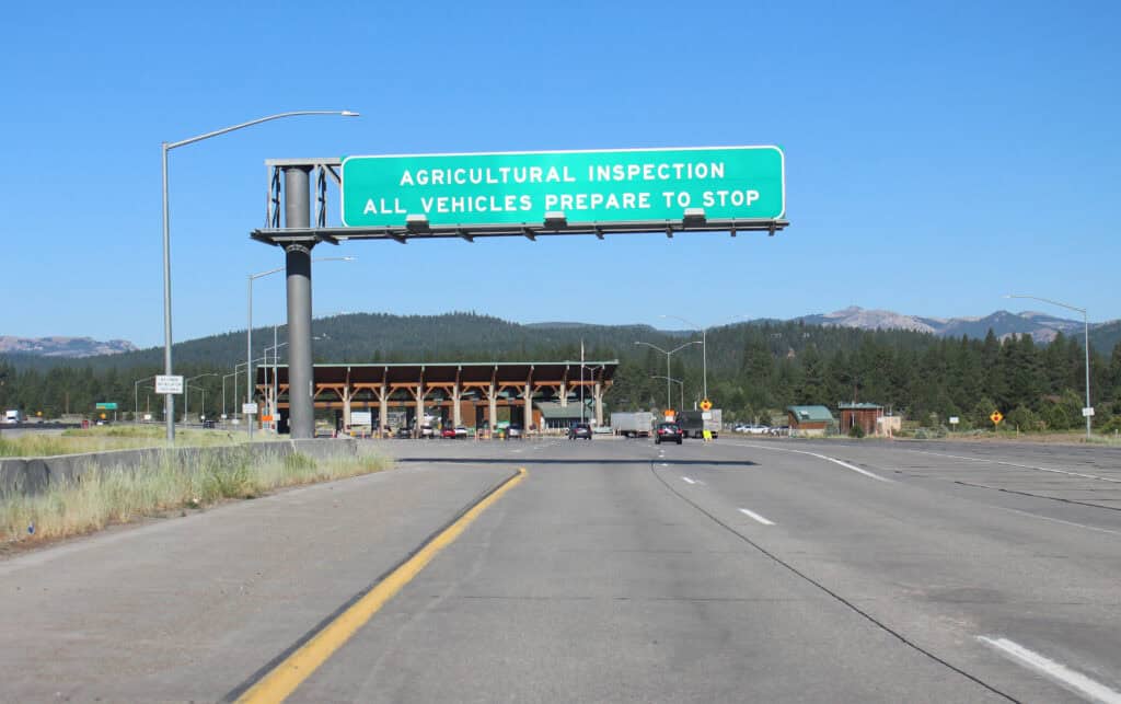 Forgetting That Border Zones Have Different Powers