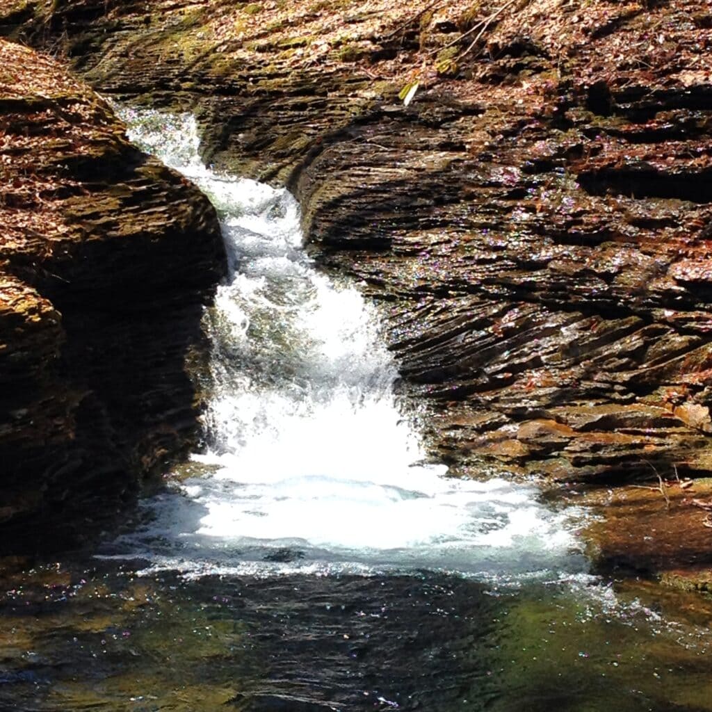 Devil’s Bathtub, Virginia
