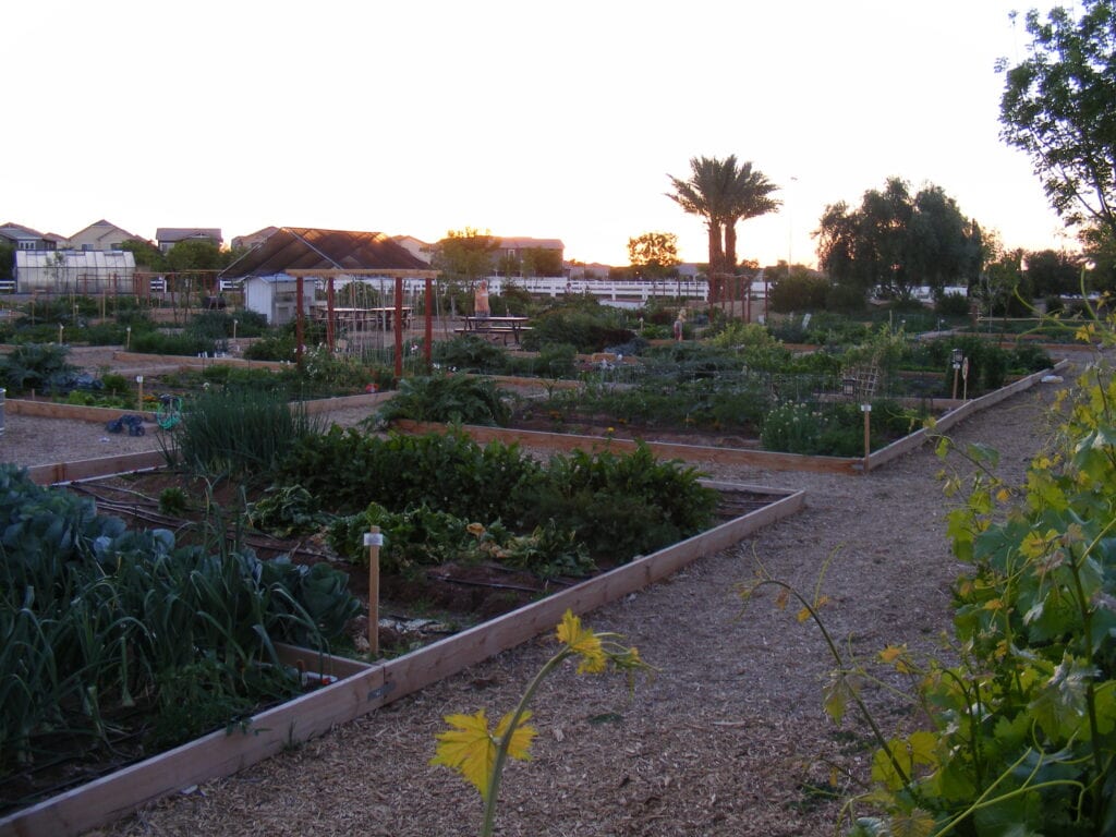 Agritopia Farm, Gilbert, Arizona