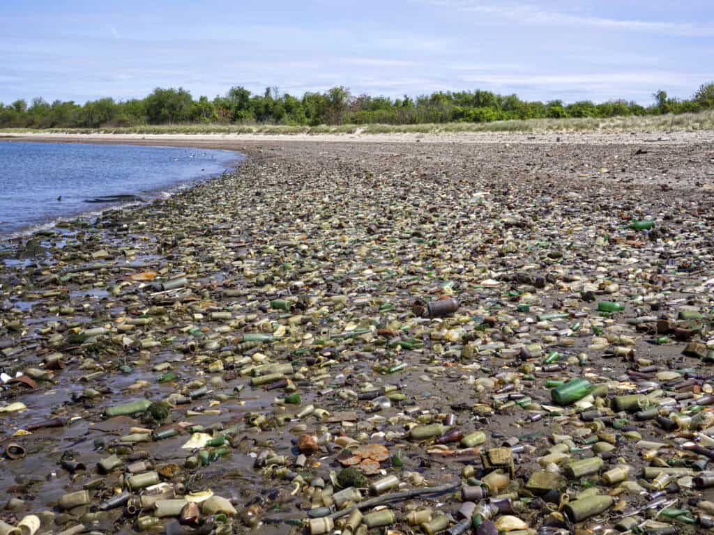 Glass Bottle Beach, Dead Horse Bay, New York