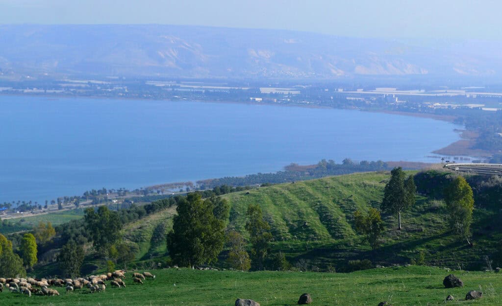 Galilee