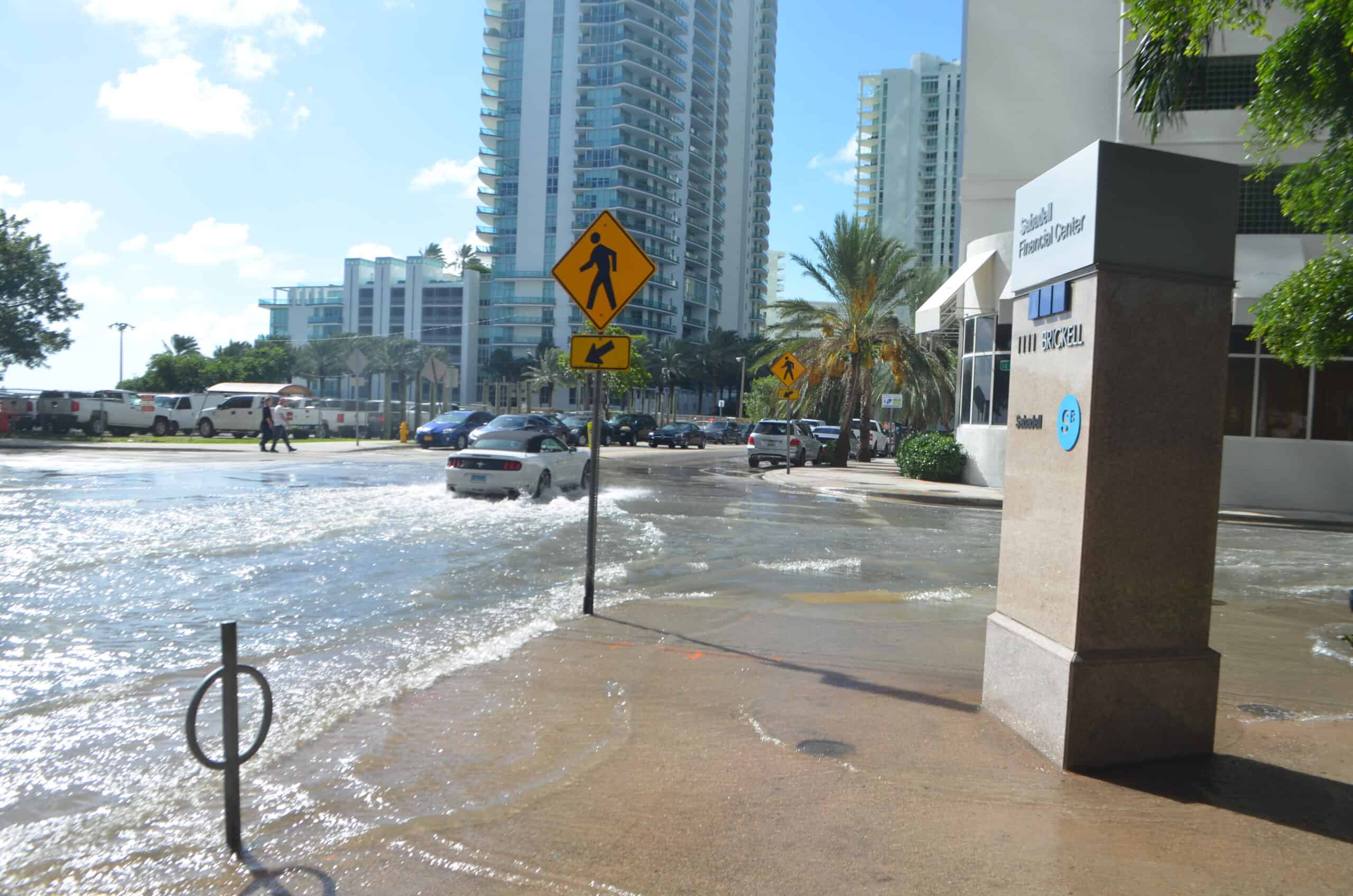 king tide street flooding United States