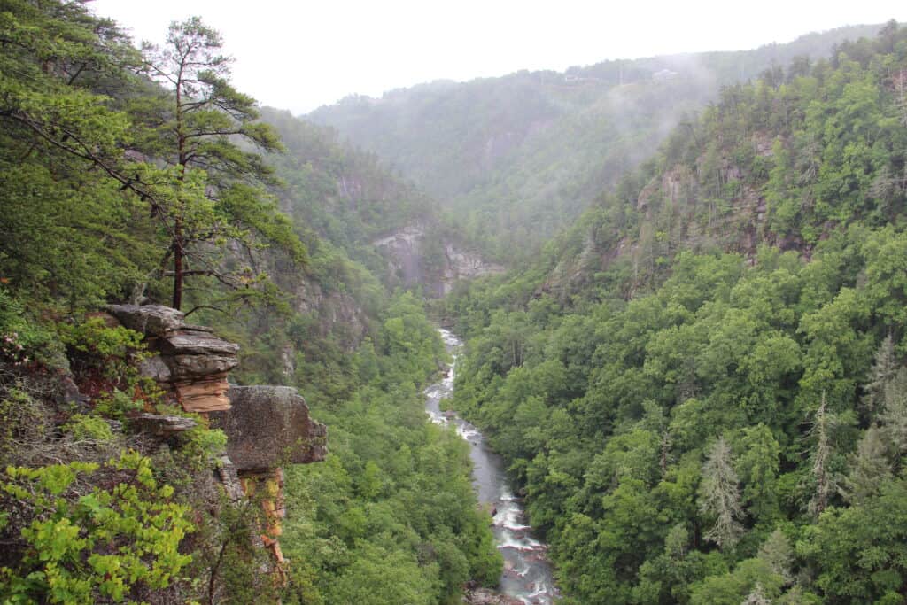 Tallulah Gorge Suspension Bridge, Georgia