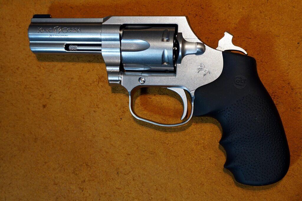 colt-5102479_1280