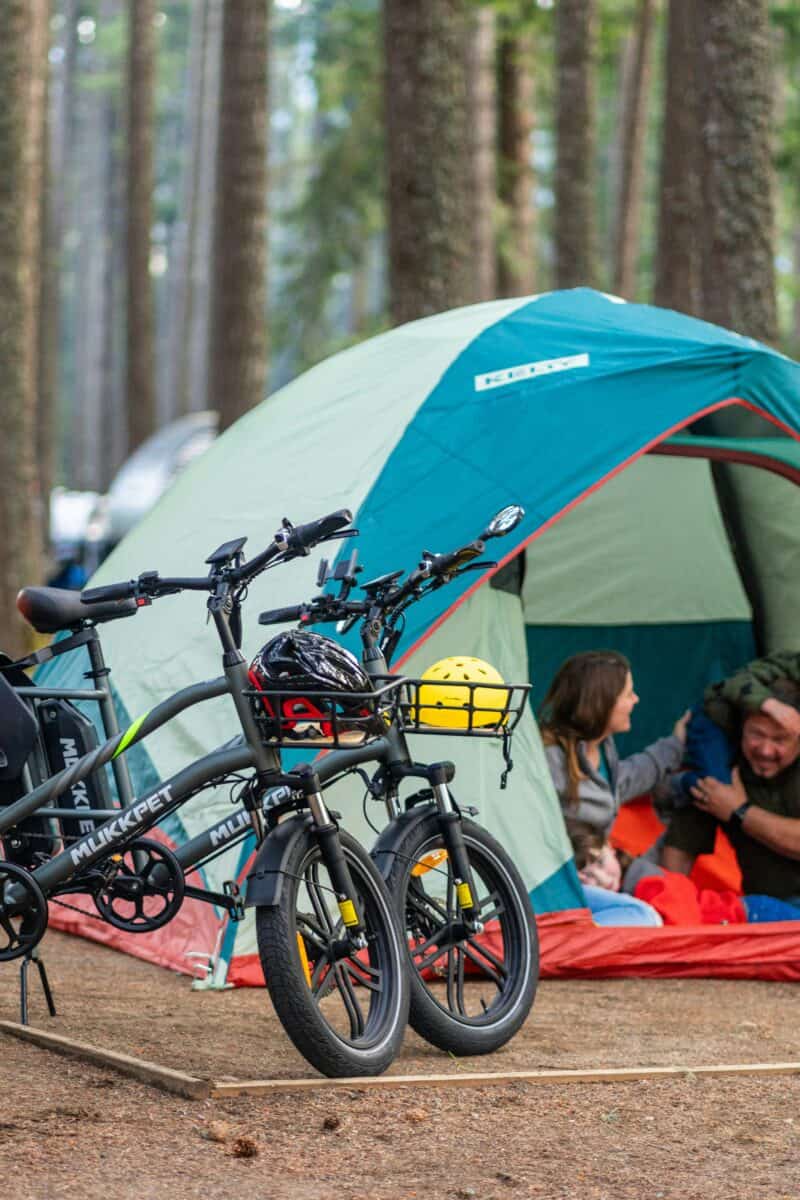 rustic forest campsite vs full-hookup RV park