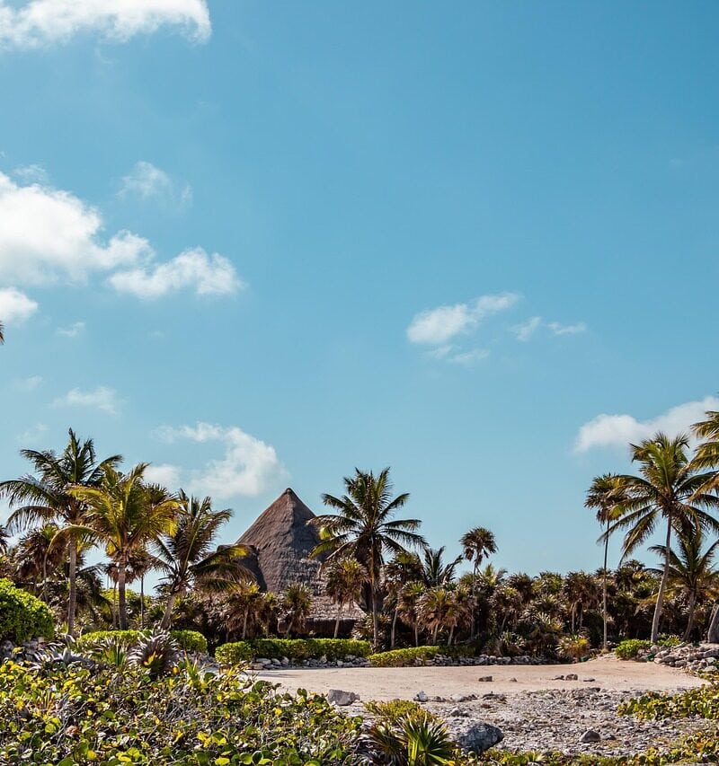 tropical-8043491_1280