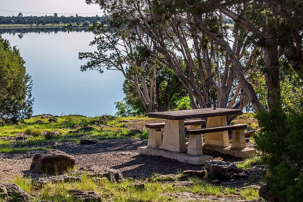 1024px-Ashurst_Lake_(37621661491)