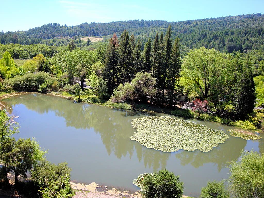 1024px-DSC31120,_Sterling_Vineyards,_Calistoga,_Napa_Valley,_California_(4844887417)