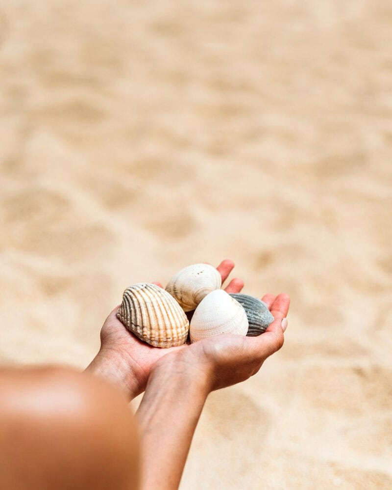 Taking Sand Or Shells As A Beach Souvenir In Italy