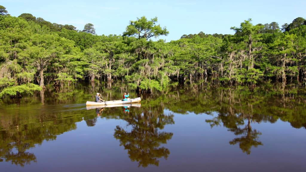 Caddo Lake, Texas and Louisiana