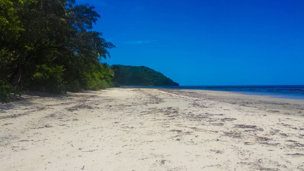 Cape Tribulation, Queensland, Australia