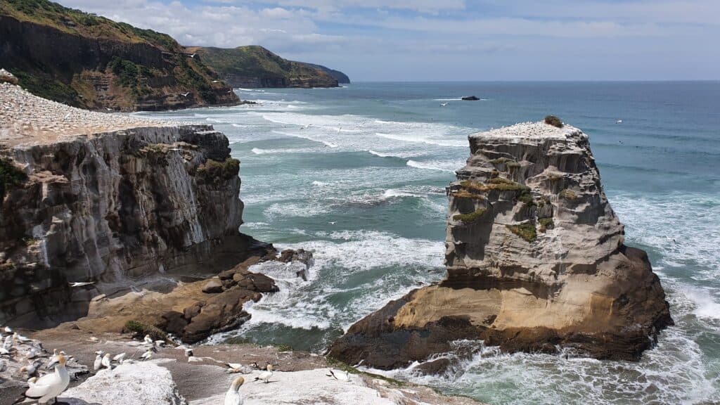 Muriwai Beach, New Zealand