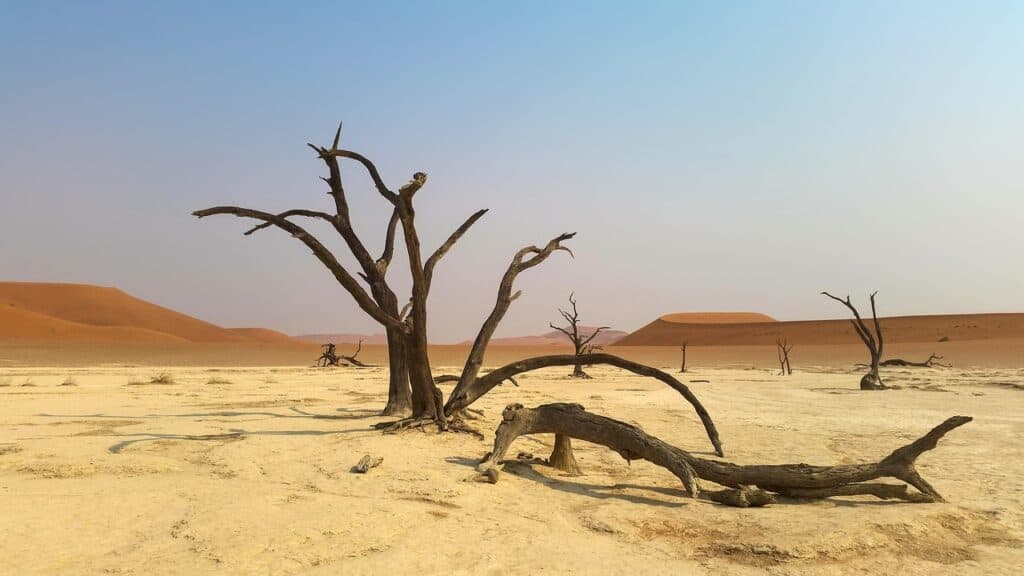Namib-Naukluft National Park, Namibia