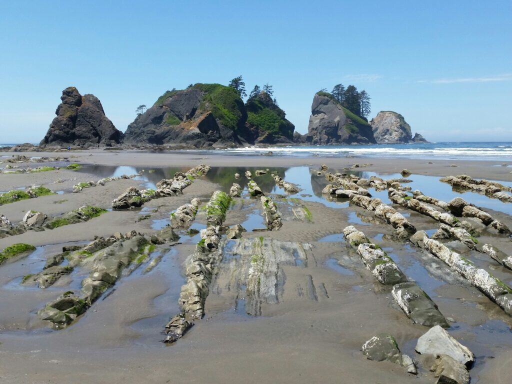  the Olympic Peninsula